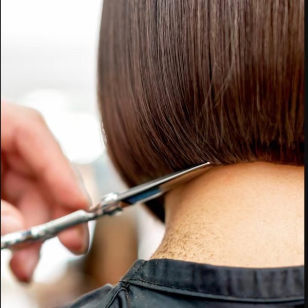 WhatsApp Image 2026-02-12 at 17.58.10